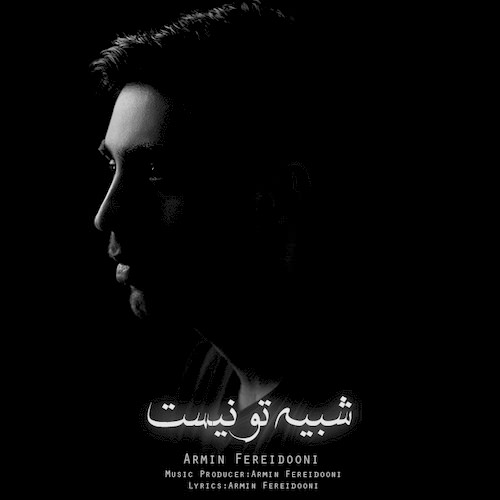 شبیه تو نیست