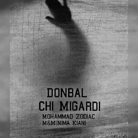 دنبال چی میگردی