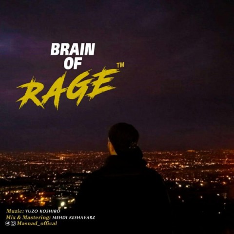 شورش در مغز